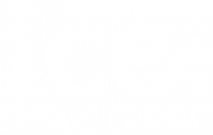 Registrerat hos ICO